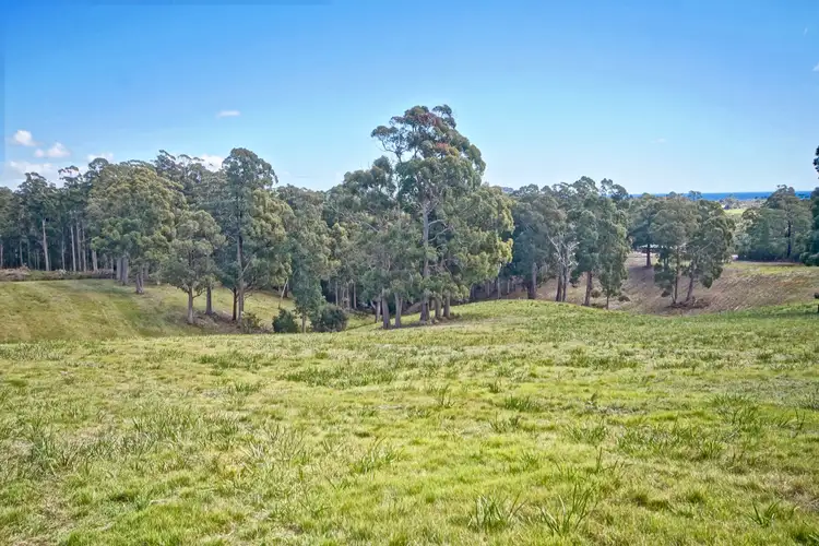 Sixth view of Homely rural property listing, 230 Ironcliffe Road, Penguin TAS 7316
