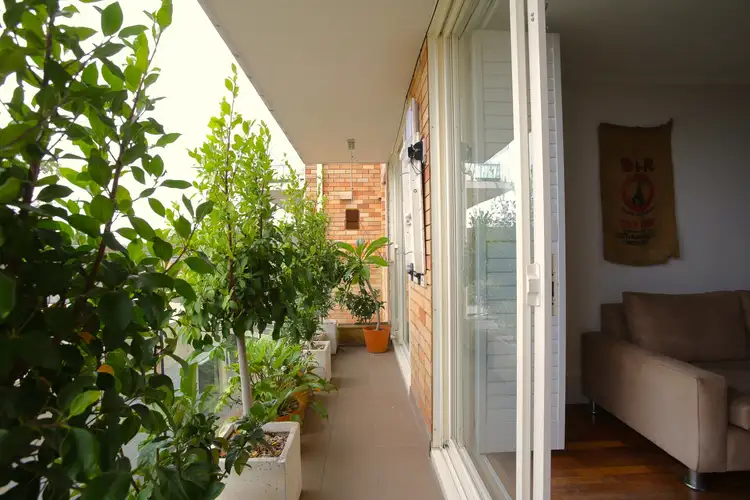 Third view of Homely apartment listing, 12/55 Carter Street, Cammeray NSW 2062