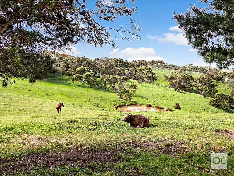 Fifth view of Homely rural property listing, 379 Louds Hill Road, Willunga South SA 5172