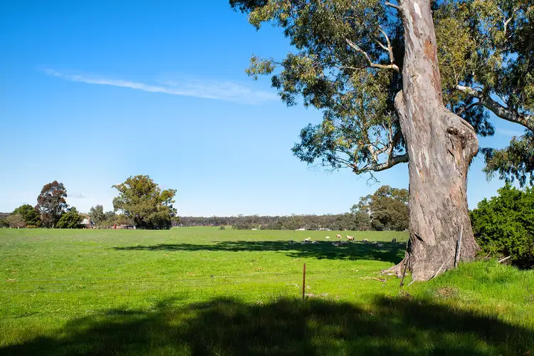 Fourth view of Homely land listing, Part Of 2 Brandt Street, Newstead VIC 3462