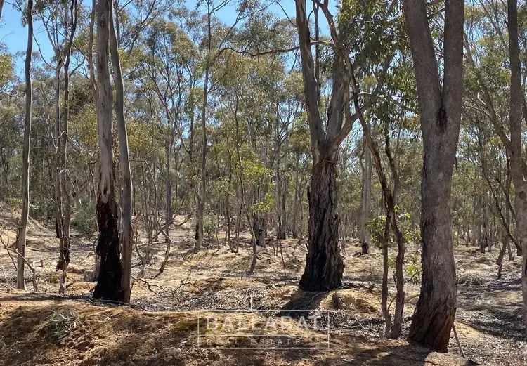 Second view of Homely land listing, 22 Baker Lane, Dunolly VIC 3472