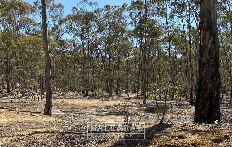 Third view of Homely land listing, 22 Baker Lane, Dunolly VIC 3472