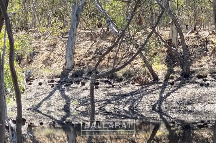 Seventh view of Homely land listing, 22 Baker Lane, Dunolly VIC 3472