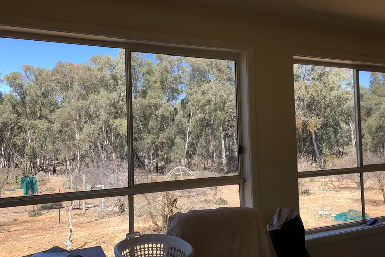 Sixth view of Homely rural property listing, 356 Murray Valley Highway, Boundary Bend VIC 3599