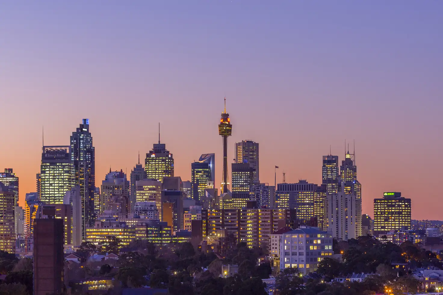 Main view of Homely apartment listing, 11803/5 Sam Sing Street, Waterloo NSW 2017