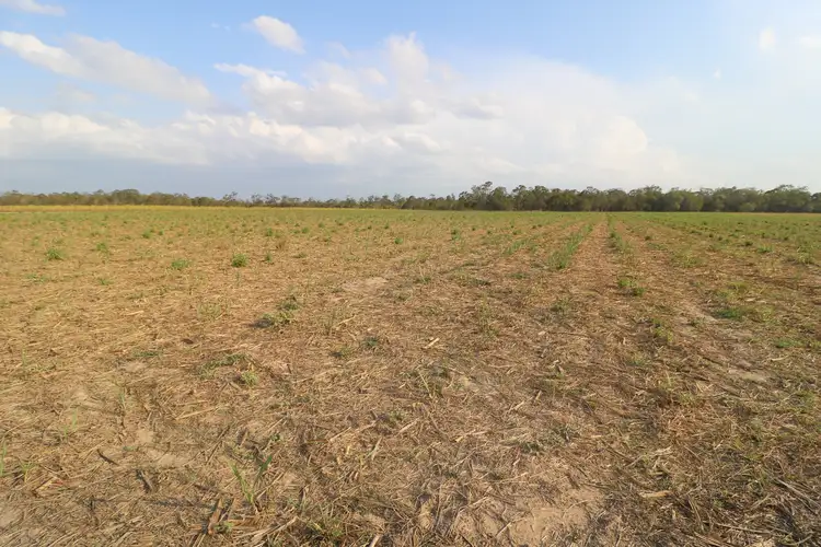 Seventh view of Homely land listing, Lot 21 Mckenzies Road, Farnsfield QLD 4660