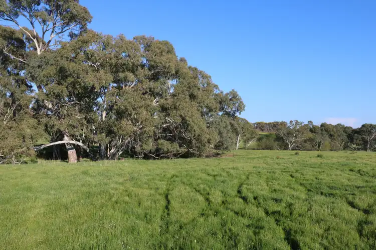 Seventh view of Homely rural property listing, Sedgwick Road, Sedgwick VIC 3551