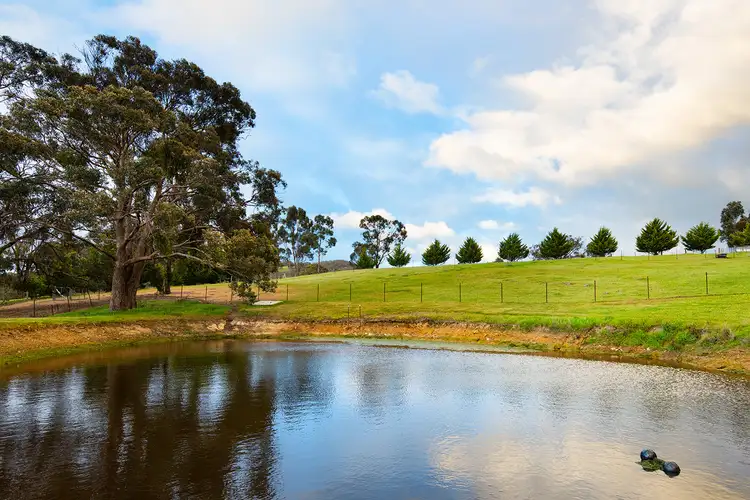 Fourth view of Homely house listing, 580 Pyrenees Highway, Chewton VIC 3451