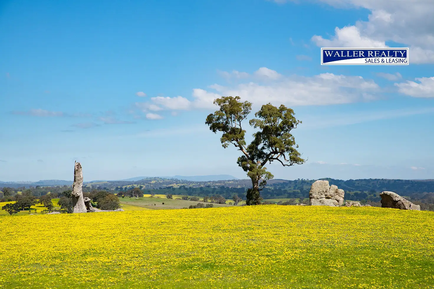 Main view of Homely land listing, 125 Daintys Lane, Elphinstone VIC 3448