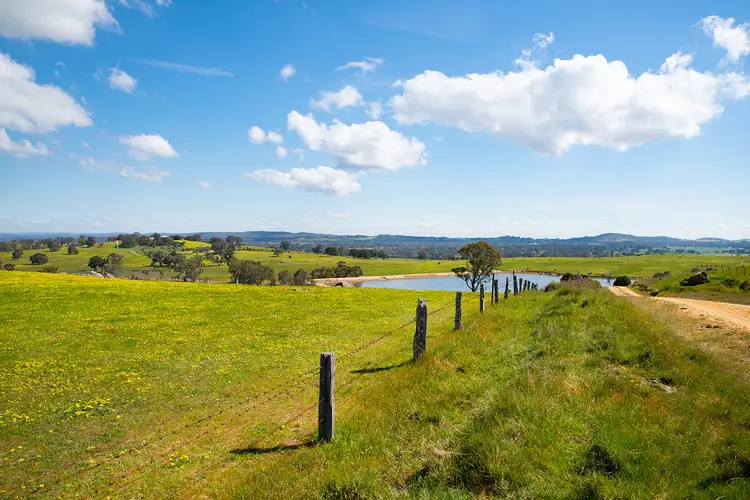 Second view of Homely land listing, 125 Daintys Lane, Elphinstone VIC 3448