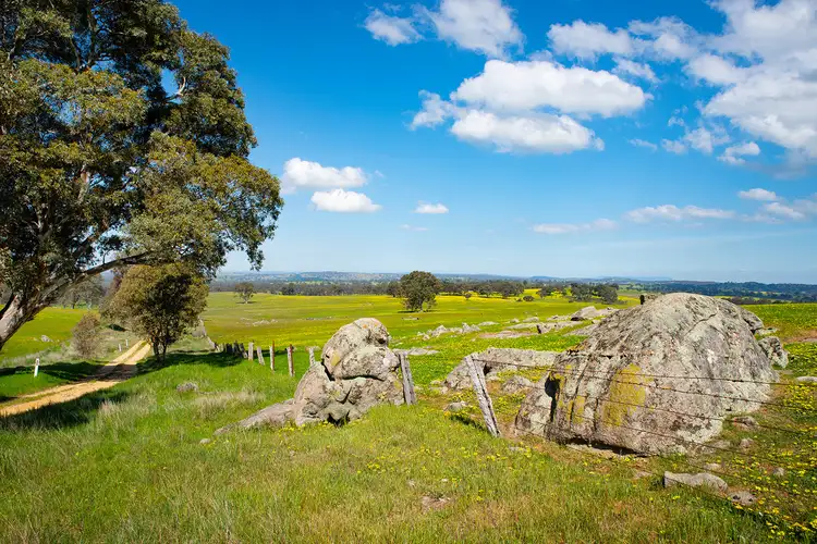 Fourth view of Homely land listing, 125 Daintys Lane, Elphinstone VIC 3448