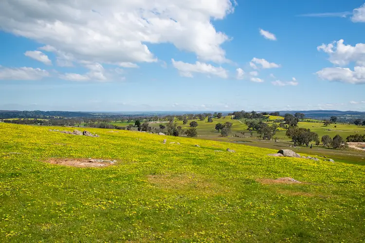 Fifth view of Homely land listing, 125 Daintys Lane, Elphinstone VIC 3448