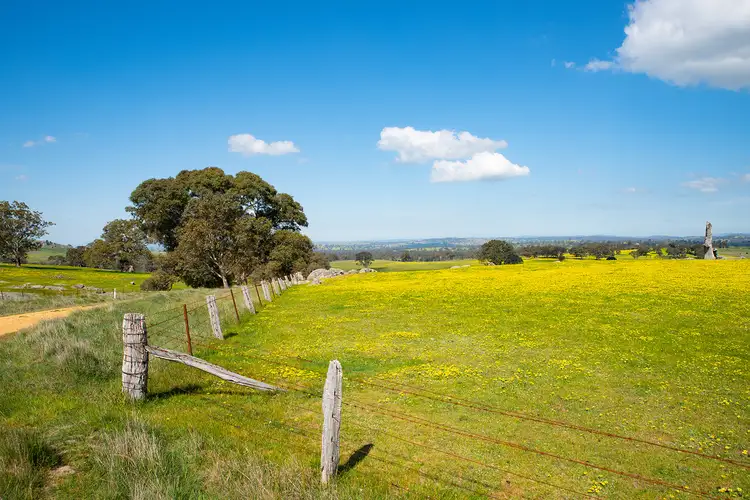 Sixth view of Homely land listing, 125 Daintys Lane, Elphinstone VIC 3448