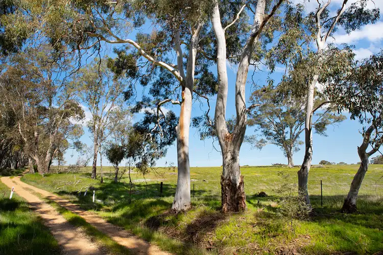 Sixth view of Homely land listing, 561 Bendigo-Sutton Grange Road, Elphinstone VIC 3448