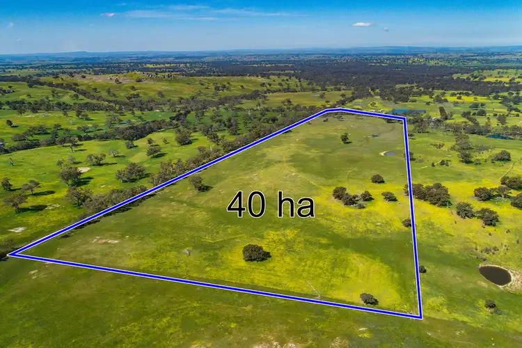 Seventh view of Homely land listing, 561 Bendigo-Sutton Grange Road, Elphinstone VIC 3448