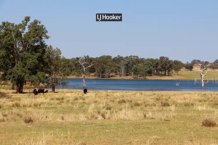 1733 Copeton Dam Road, Inverell NSW 2360