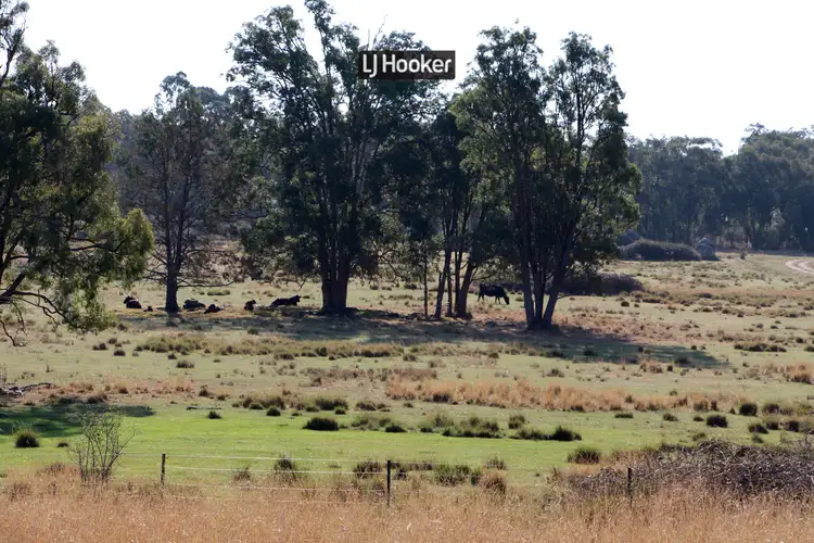 Third view of Homely rural property listing, 1733 Copeton Dam Road, Inverell NSW 2360