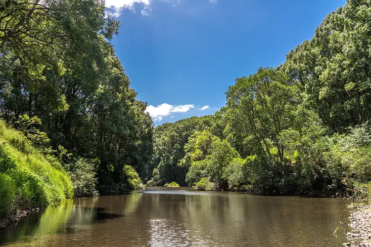 Third view of Homely rural property listing, 316 Kings Road, Federal NSW 2480