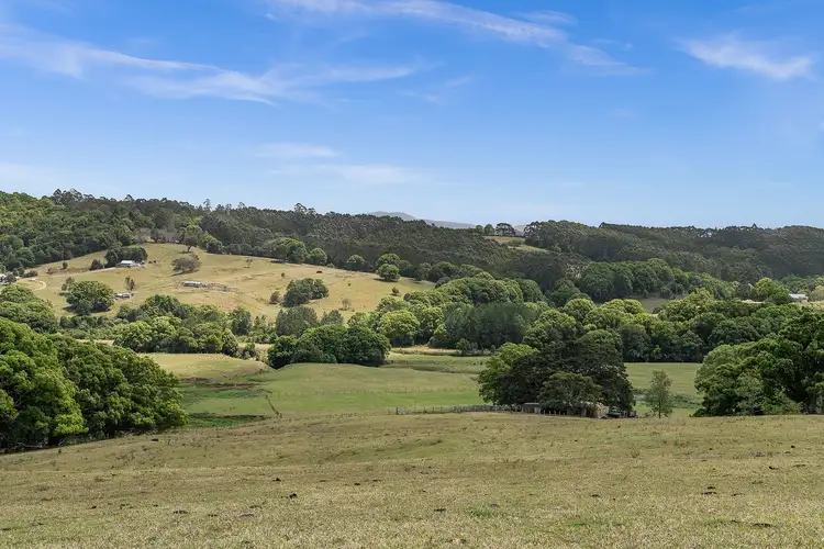 990 Friday Hut Road, Binna Burra NSW 2479