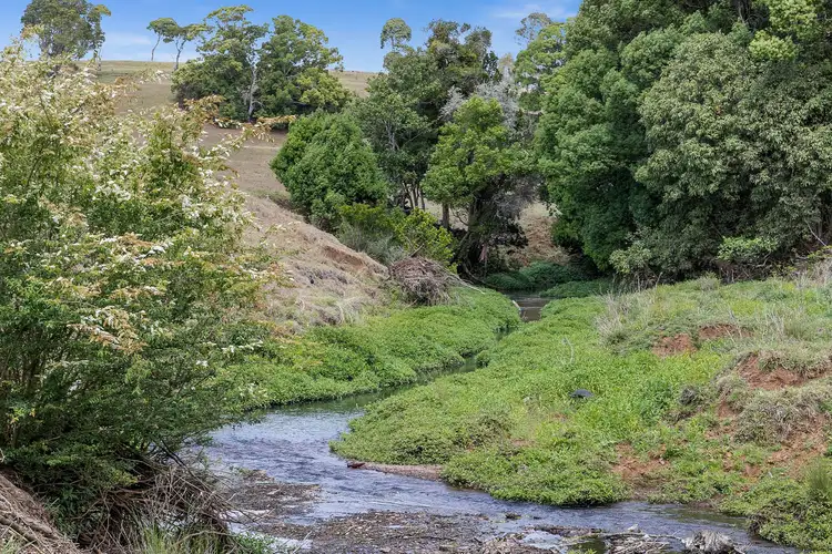 Sixth view of Homely house listing, 990 Friday Hut Road, Binna Burra NSW 2479