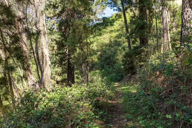 Seventh view of Homely land listing, LOT 201 Upper Sturt Road, Upper Sturt SA 5156