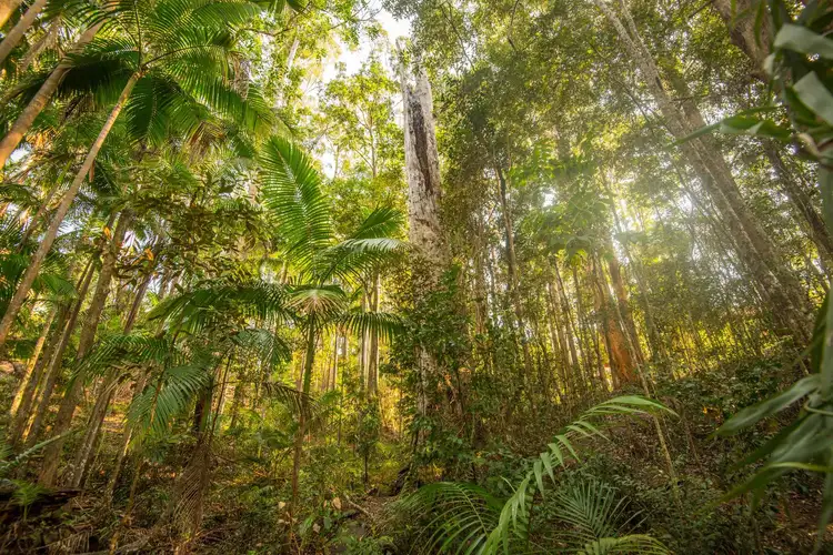 Fifth view of Homely rural property listing, 28 Jarrah Road, Buderim QLD 4556