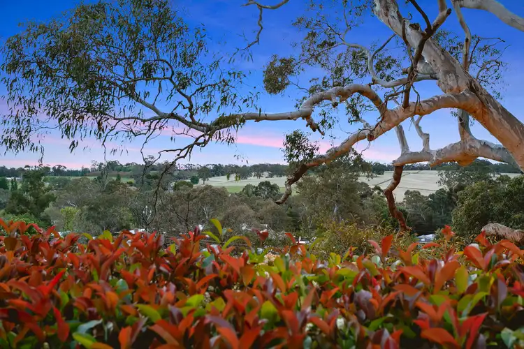 Fourth view of Homely house listing, 9 Clayfield Court, Woodside SA 5244