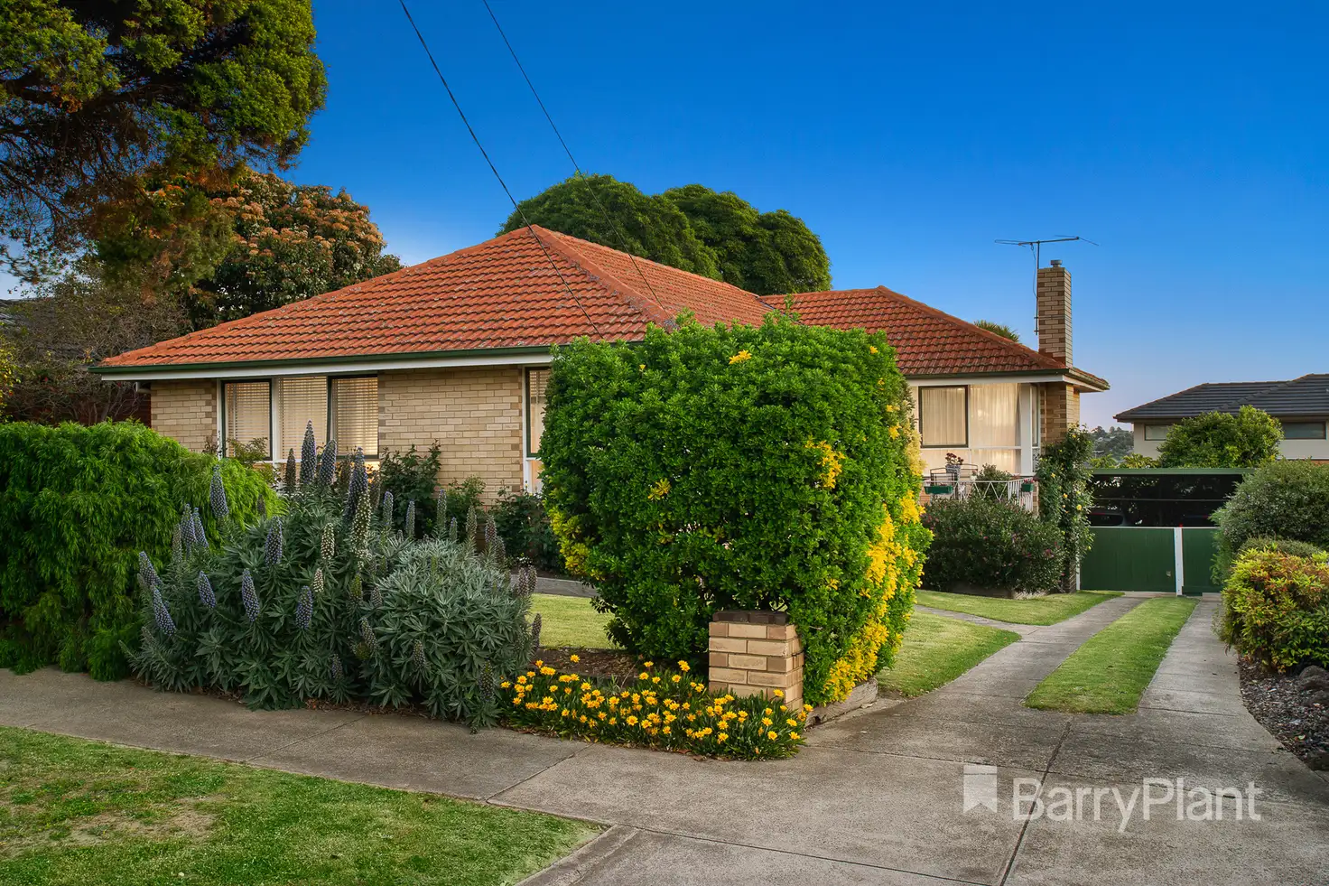 Main view of Homely house listing, 50 Coolabah Street, Doncaster VIC 3108