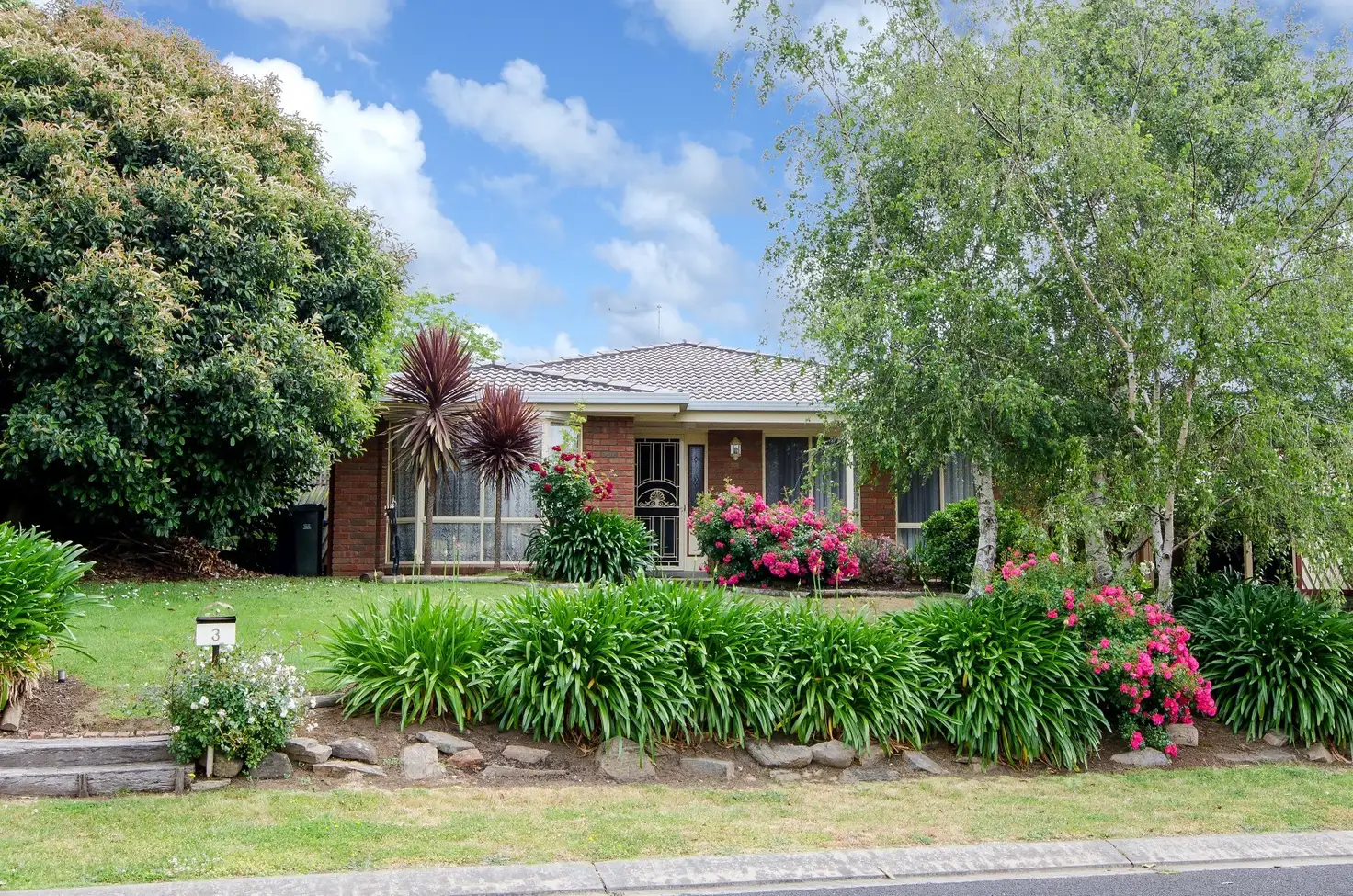 Main view of Homely house listing, 3 Montrose Court, Mount Gambier SA 5290