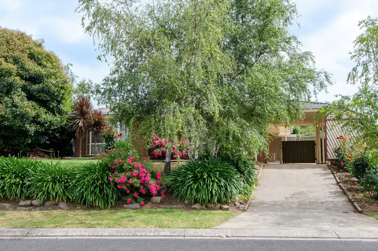 Second view of Homely house listing, 3 Montrose Court, Mount Gambier SA 5290