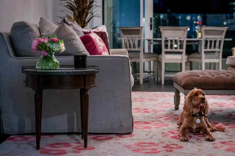 Fifth view of Homely apartment listing, 6/17 Shellcove Road, Kurraba Point NSW 2089