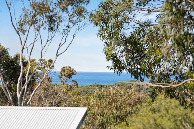 Fifth view of Homely house listing, 8 Seventh Avenue, Anglesea VIC 3230