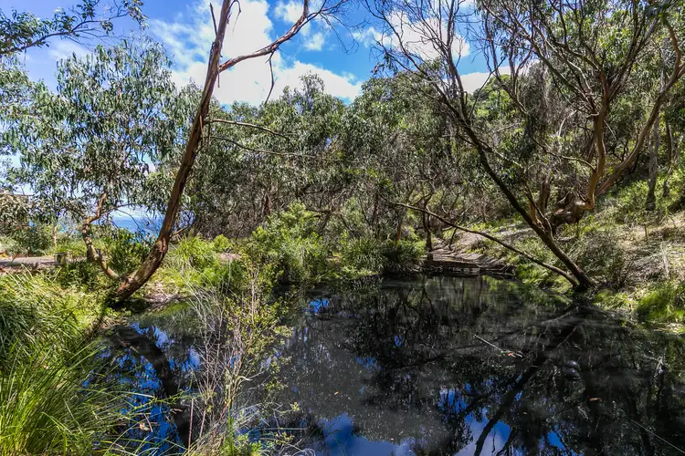 Sixth view of Homely house listing, 1223 Great Ocean Road, Lorne VIC 3232