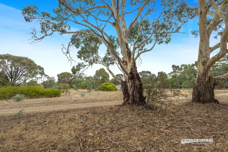 Fourth view of Homely land listing, Lot 4 River Street, Laanecoorie VIC 3463
