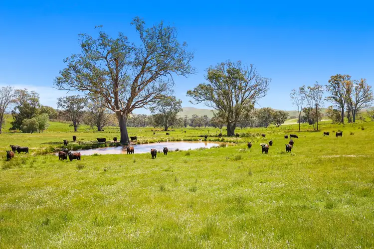 262 Clarks Road, Yea VIC 3717