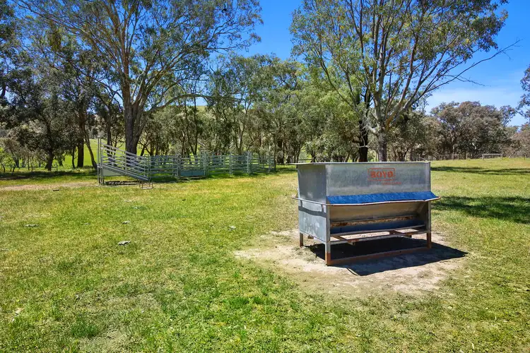 Sixth view of Homely rural property listing, 262 Clarks Road, Yea VIC 3717