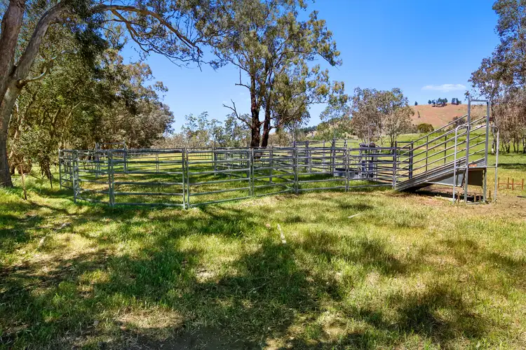 Seventh view of Homely rural property listing, 262 Clarks Road, Yea VIC 3717