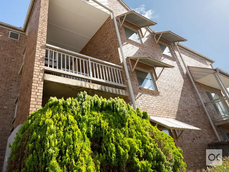 6/355 Angas Street, Adelaide SA 5000
