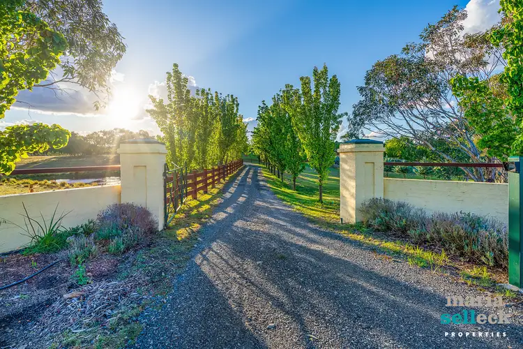 Seventh view of Homely rural property listing, 1311 Norton Road, Wamboin NSW 2620