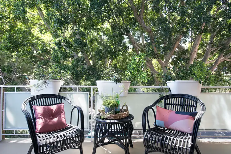 Fifth view of Homely apartment listing, 3/30 Figtree Avenue, Randwick NSW 2031