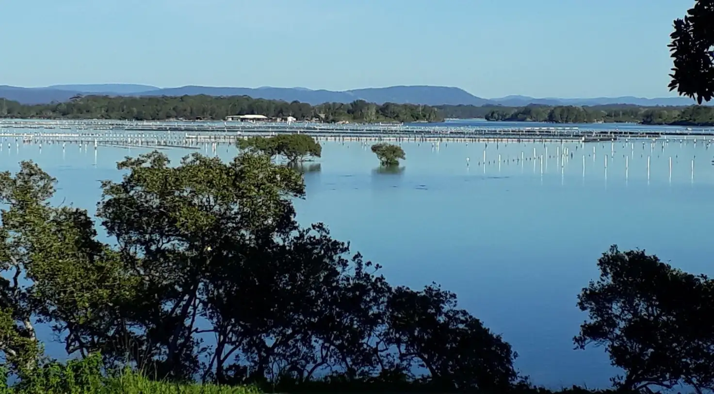 Main view of Homely apartment listing, 2/72 Little Street, Forster NSW 2428