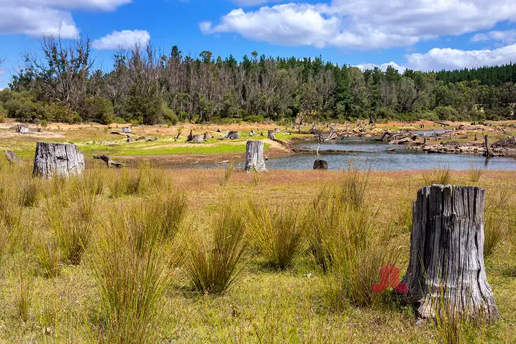 Main view of Homely land listing, LOT 210 Coalfields Road, Allanson WA 6225