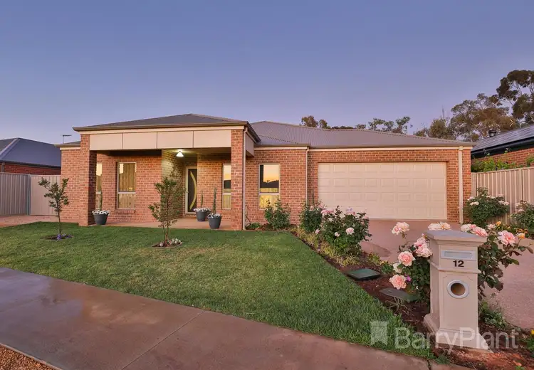 12 Central Park Drive, Mildura VIC 3500