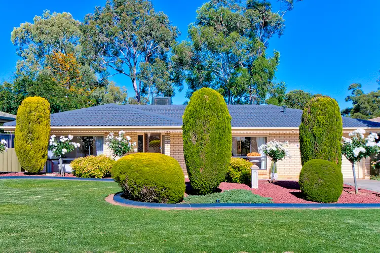 50 Donaldson Drive, Paradise SA 5075