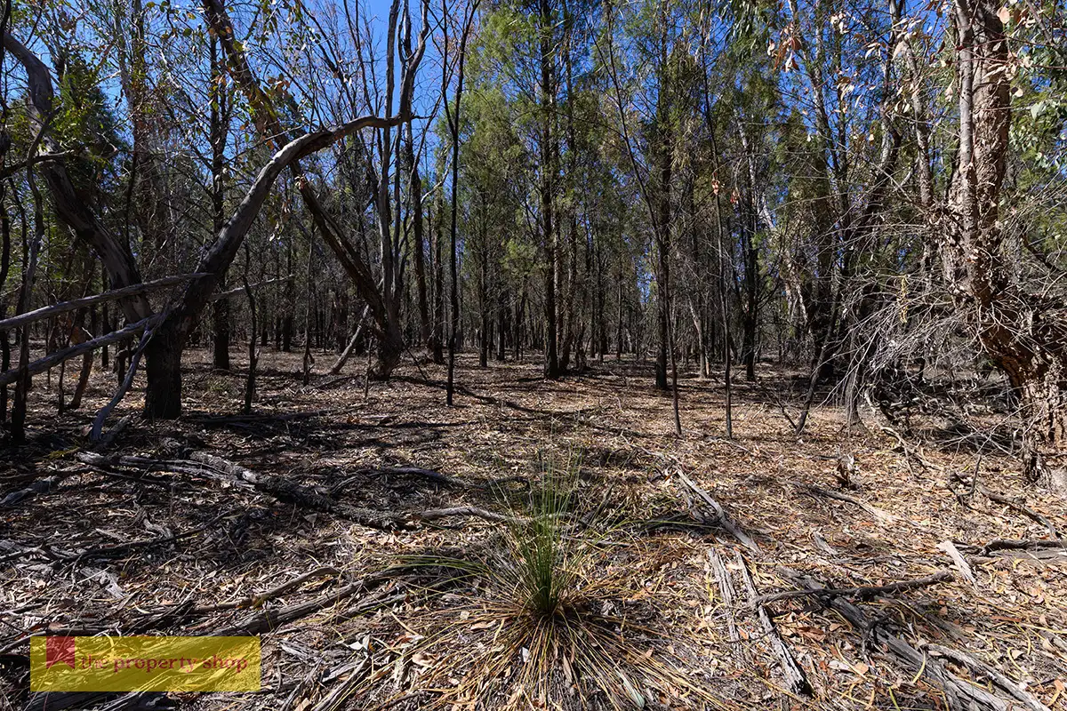 Main view of Homely rural property listing, 143 Cypress Drive, Mudgee NSW 2850