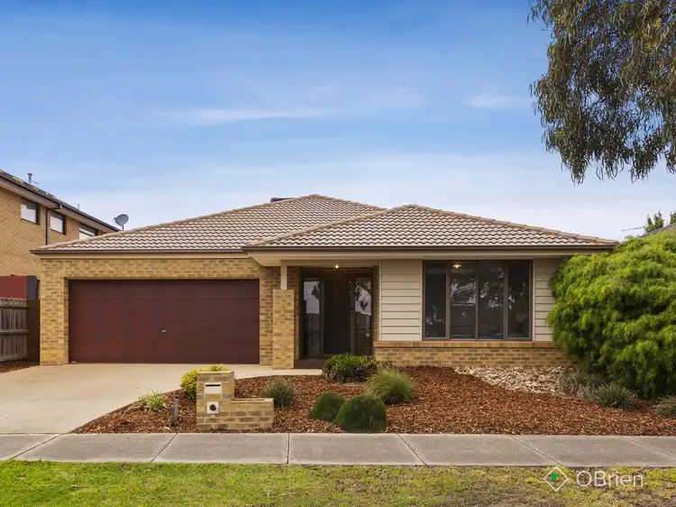 Main view of Homely house listing, 5 Wildflower Grove, Mernda VIC 3754