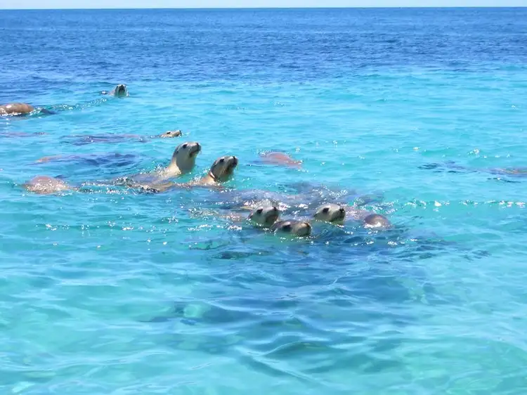 Seventh view of Homely land listing, Lot 41 Thistle Island Via, Port Lincoln SA 5606