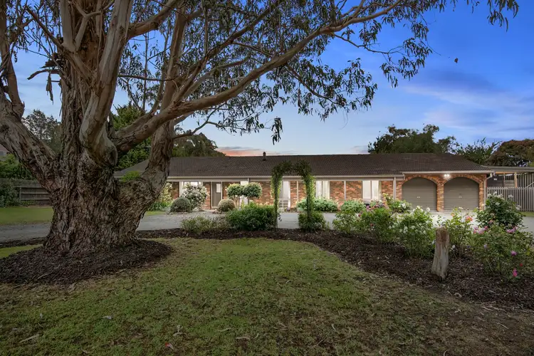 Main view of Homely house listing, 255 Potts Road, Skye VIC 3977