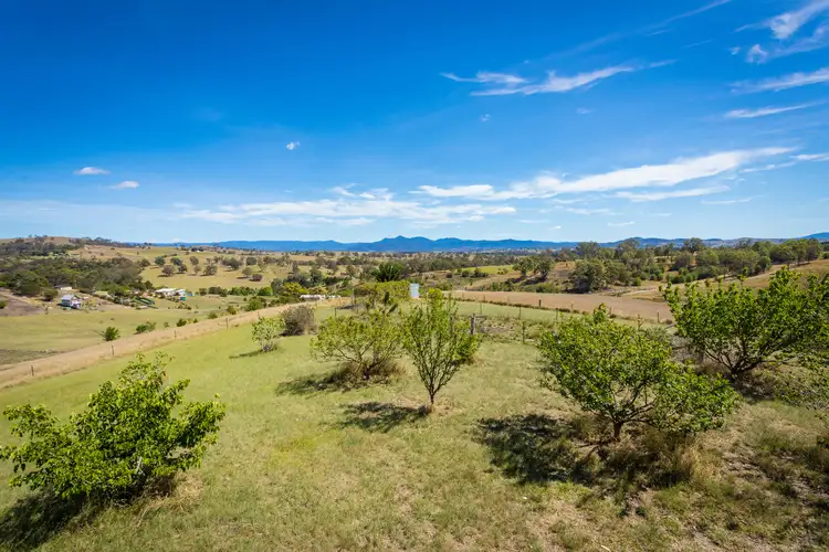 1574 Candelo Wolumla Road, Candelo NSW 2550