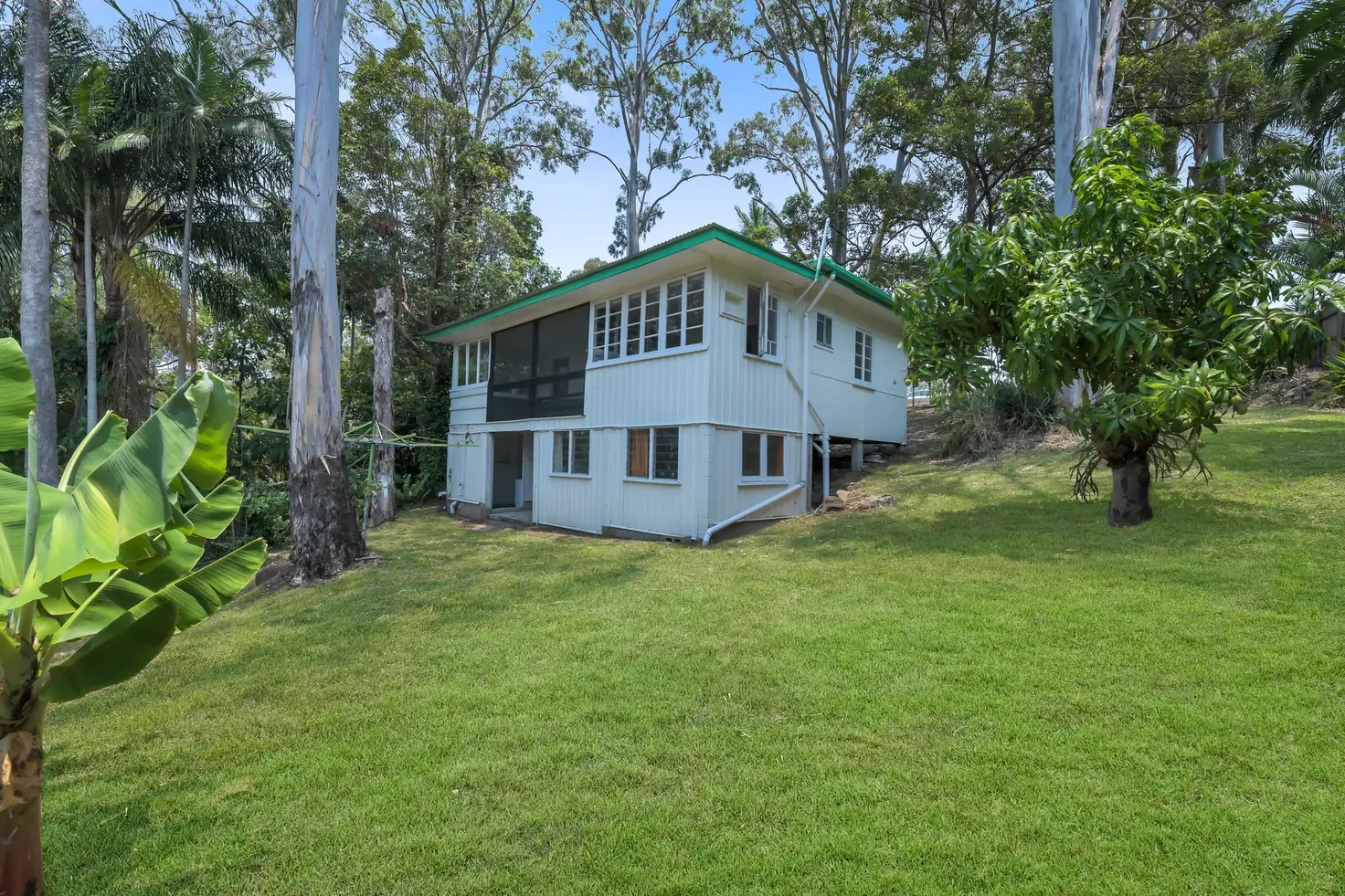 Main view of Homely house listing, 307 Mooloolaba Road, Buderim QLD 4556